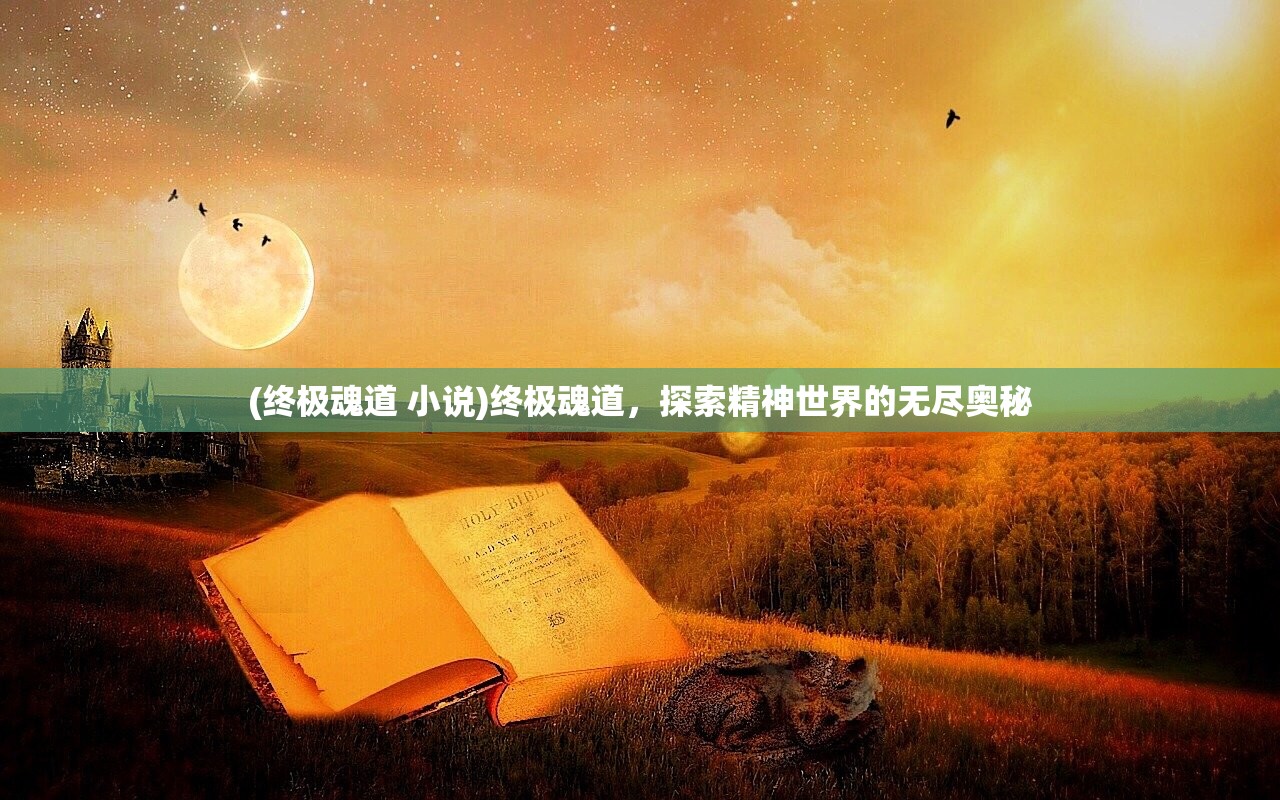 (终极魂道 小说)终极魂道，探索精神世界的无尽奥秘