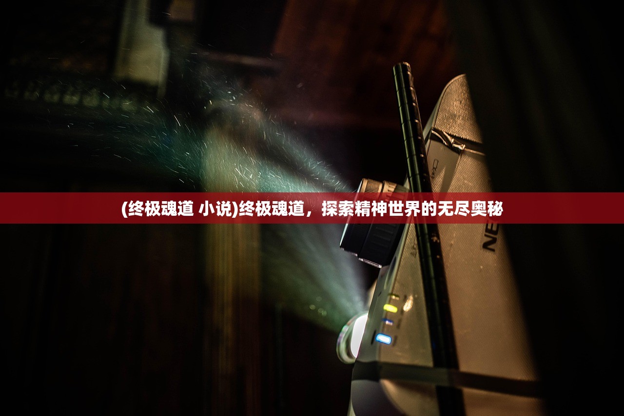 (终极魂道 小说)终极魂道，探索精神世界的无尽奥秘