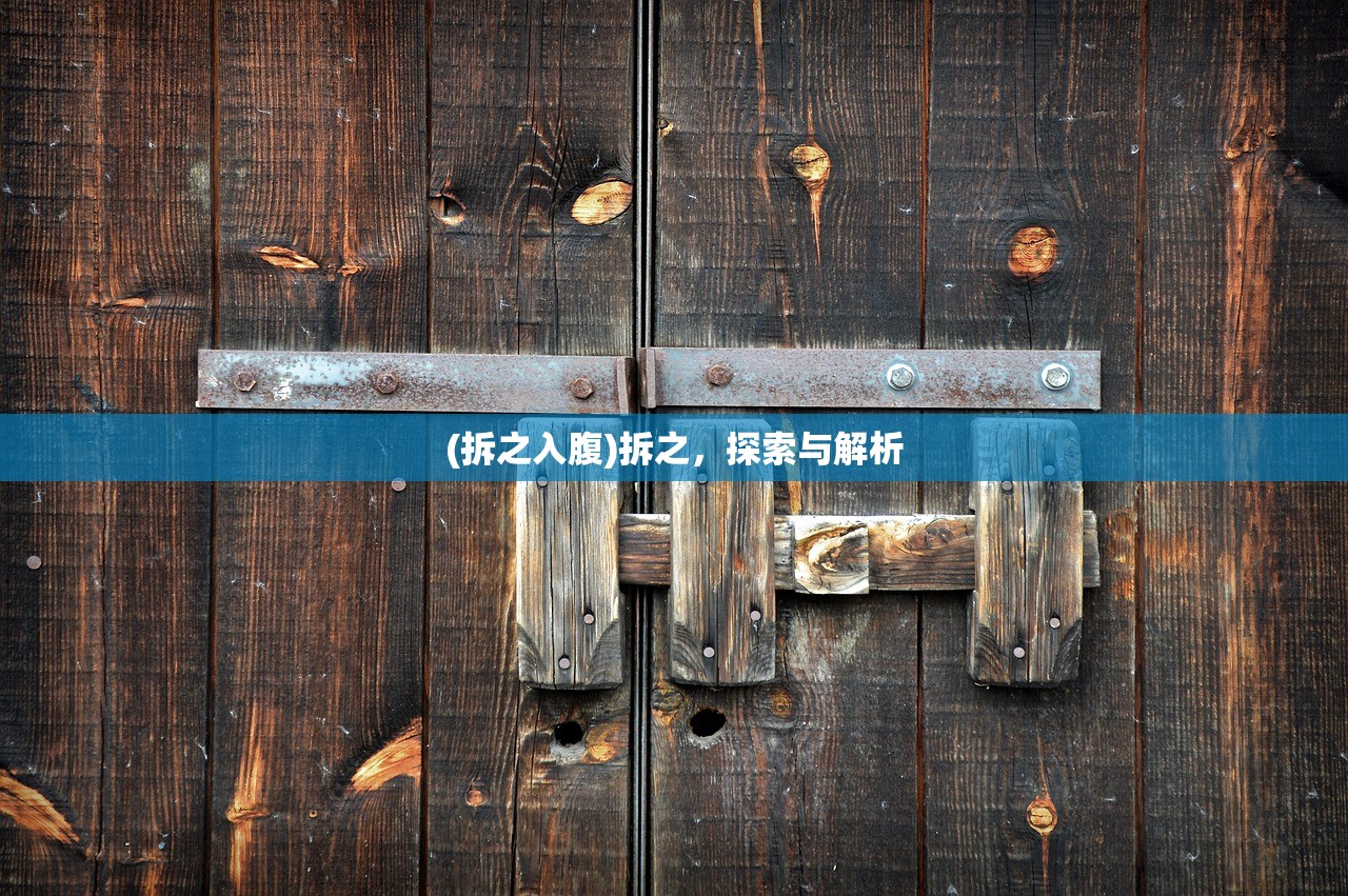 (拆之入腹)拆之，探索与解析