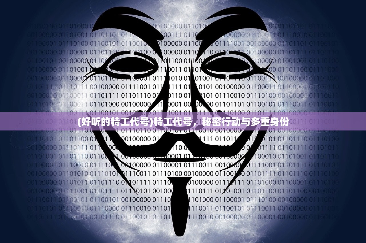 (好听的特工代号)特工代号，秘密行动与多重身份
