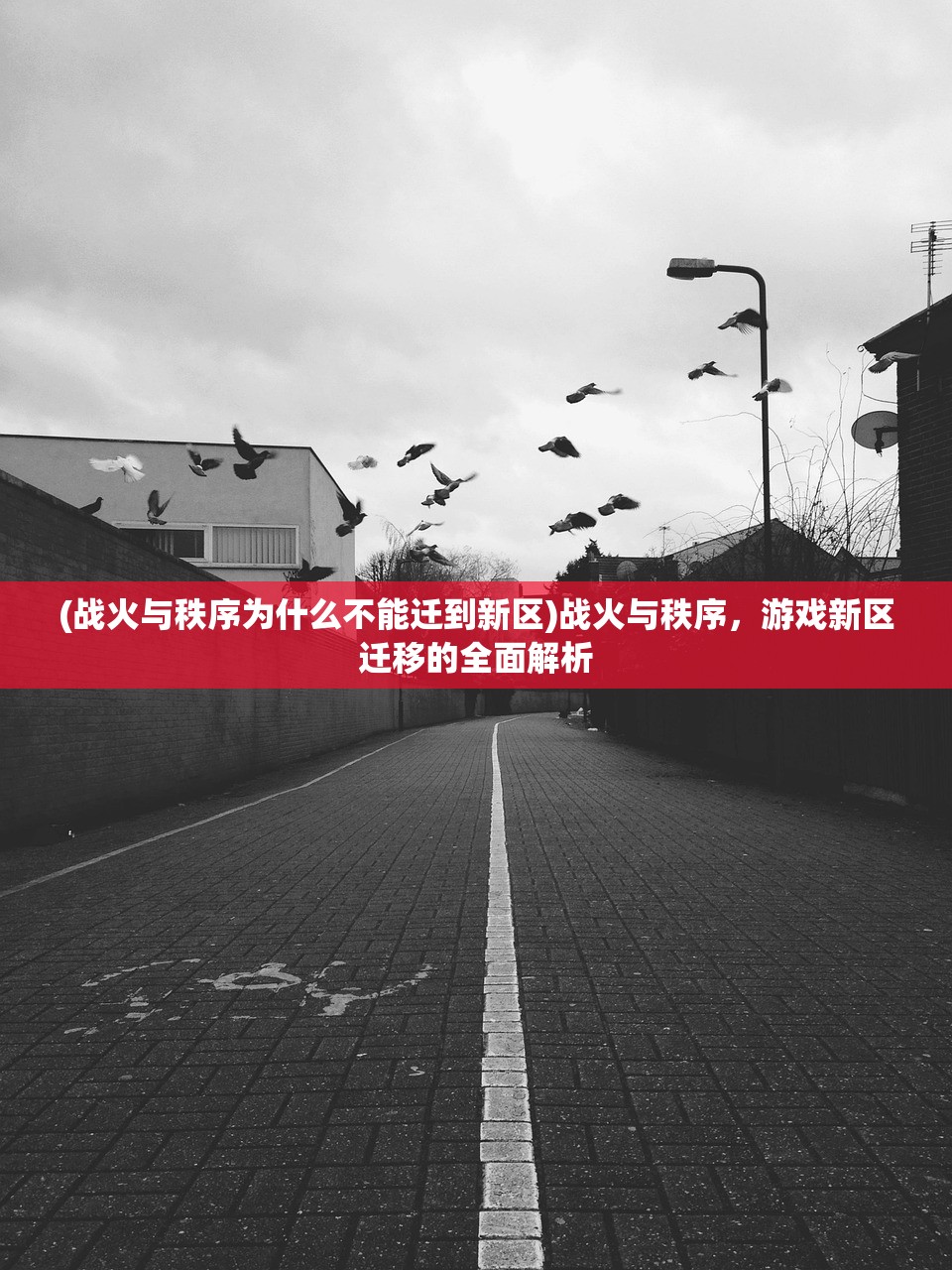 (战火与秩序为什么不能迁到新区)战火与秩序，游戏新区迁移的全面解析