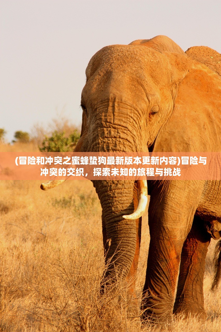 (阴阳百鬼物语go官网)阴阳百鬼物语GO，深度解析与常见问题解答