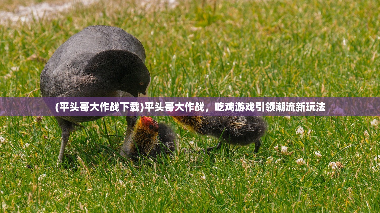 (平头哥大作战下载)平头哥大作战，吃鸡游戏引领潮流新玩法