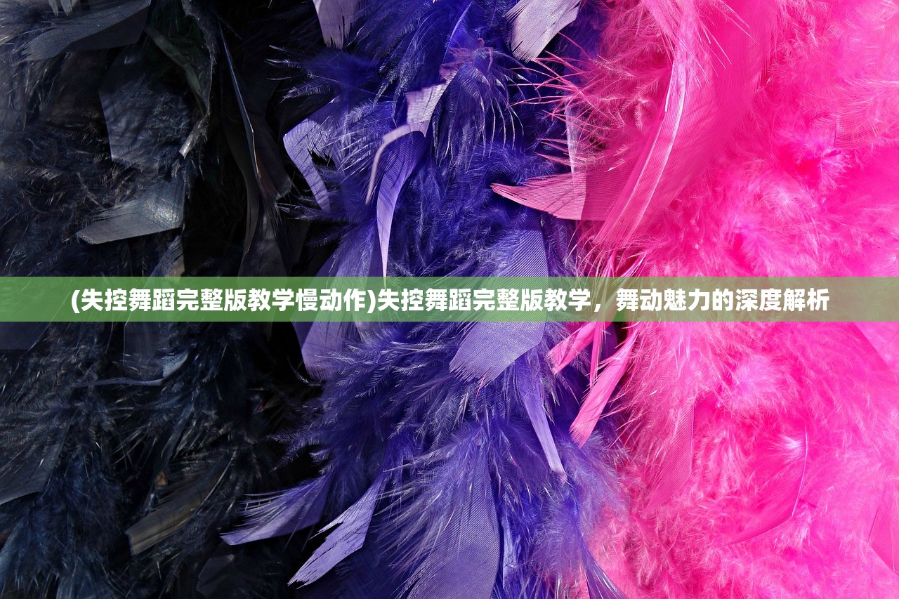 (失控舞蹈完整版教学慢动作)失控舞蹈完整版教学，舞动魅力的深度解析