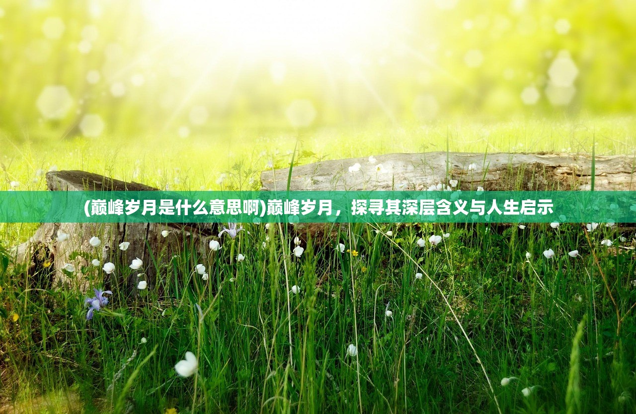 (巅峰岁月是什么意思啊)巅峰岁月，探寻其深层含义与人生启示