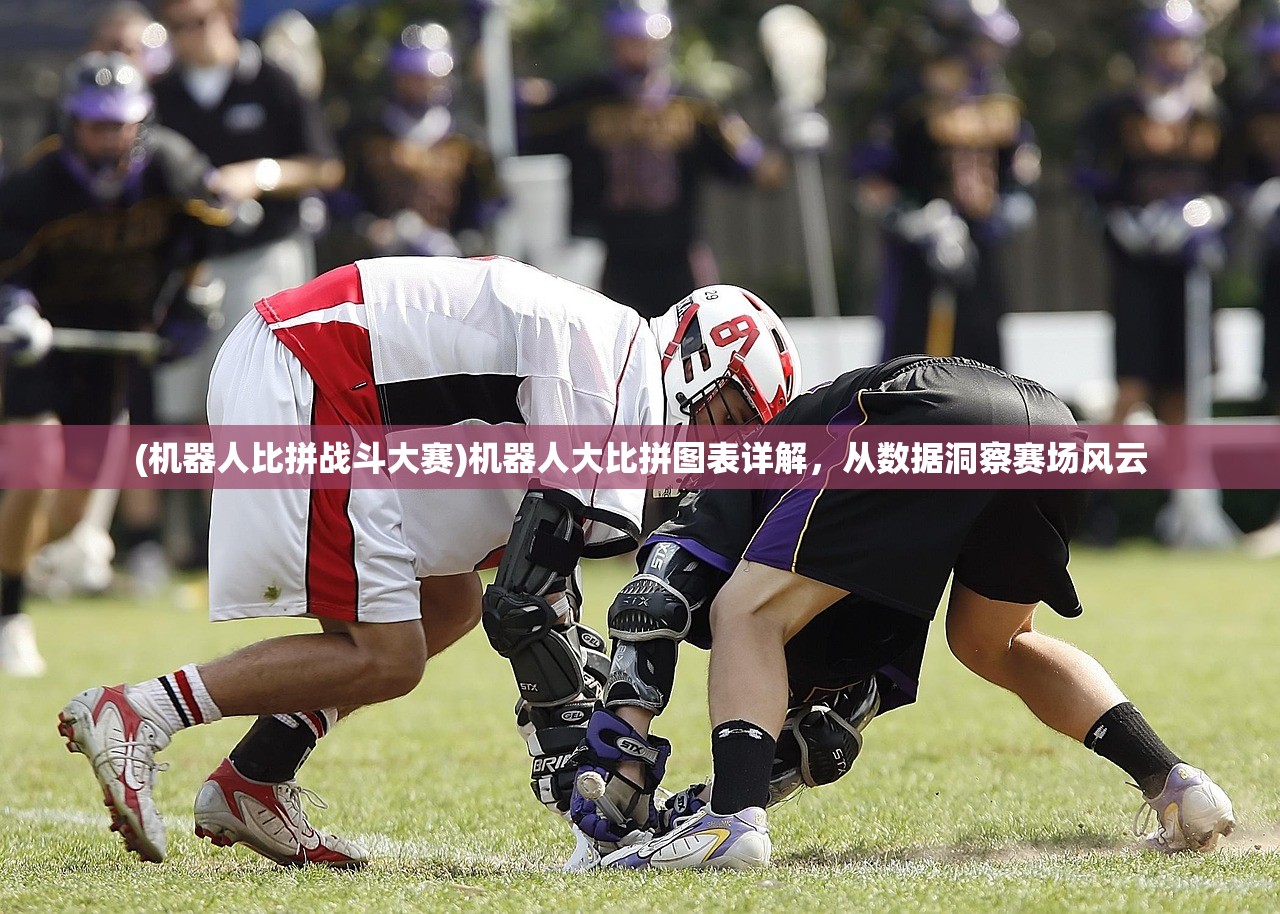(机器人比拼战斗大赛)机器人大比拼图表详解，从数据洞察赛场风云
