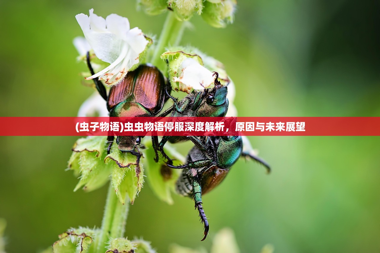 (虫子物语)虫虫物语停服深度解析，原因与未来展望