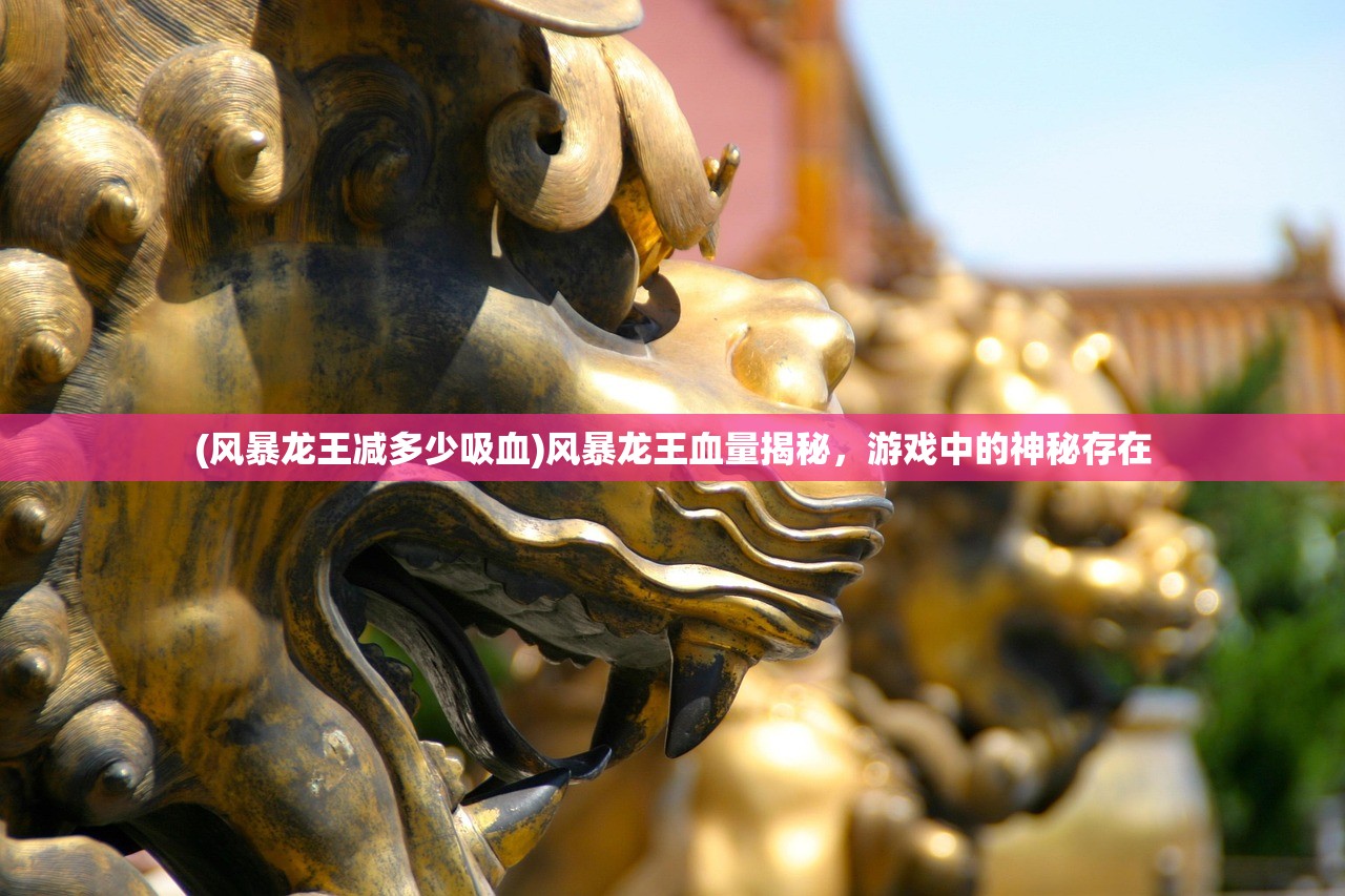 (风暴龙王减多少吸血)风暴龙王血量揭秘，游戏中的神秘存在