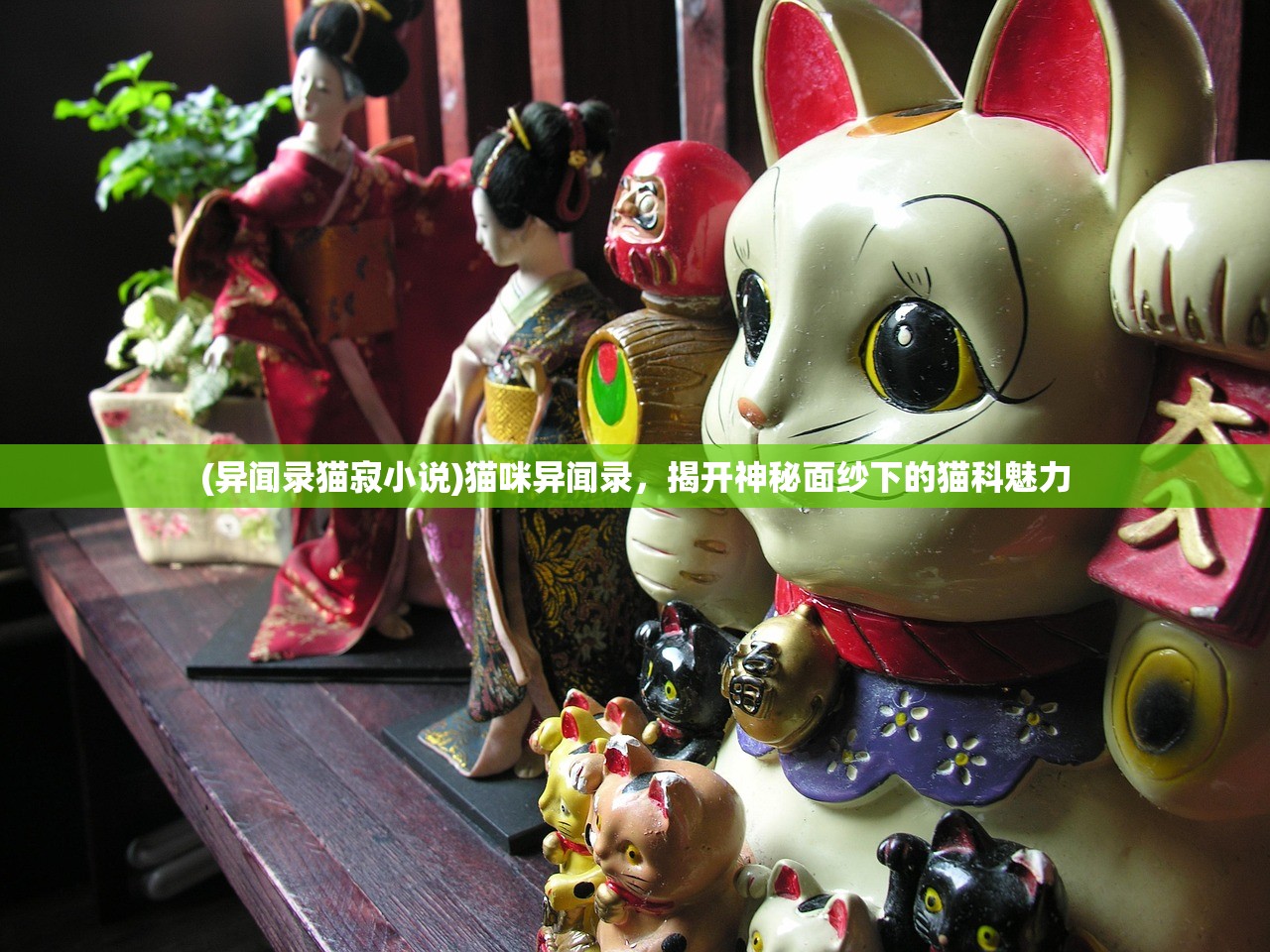 (异闻录猫寂小说)猫咪异闻录，揭开神秘面纱下的猫科魅力