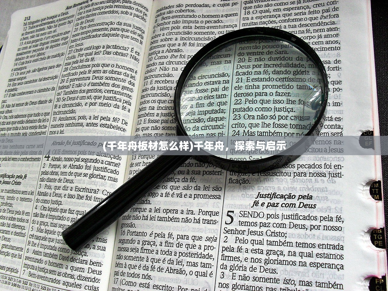 (千年舟板材怎么样)千年舟，探索与启示