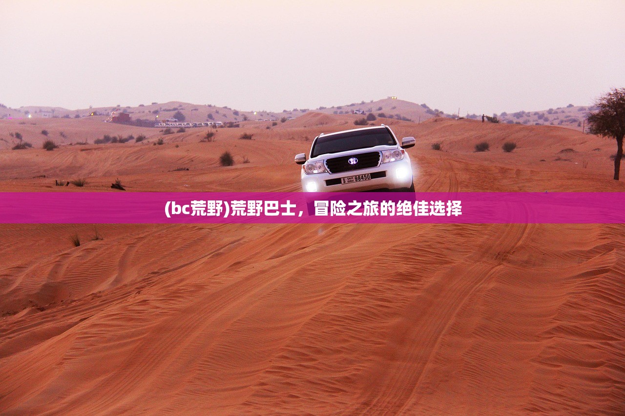 (bc荒野)荒野巴士，冒险之旅的绝佳选择
