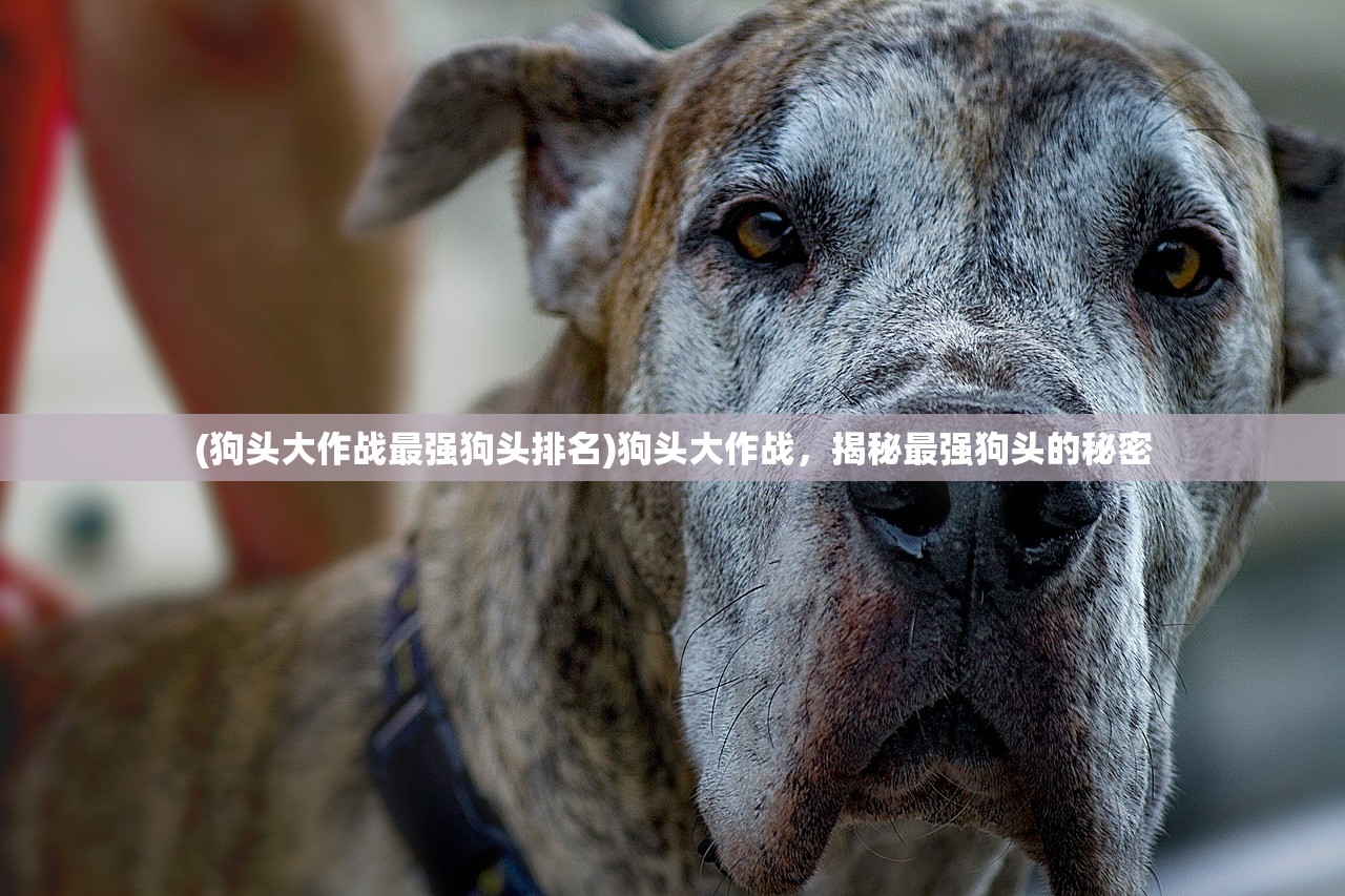 (狗头大作战最强狗头排名)狗头大作战，揭秘最强狗头的秘密