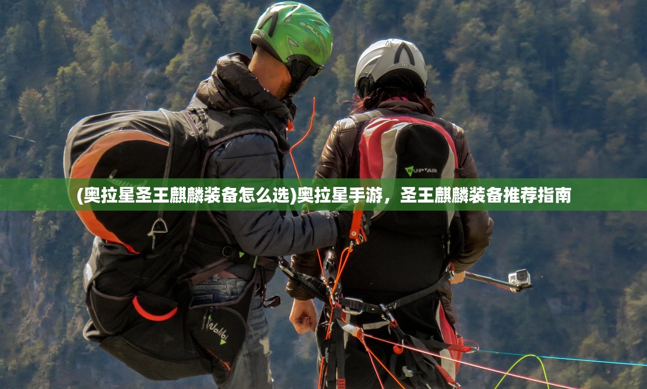 (奥拉星圣王麒麟装备怎么选)奥拉星手游，圣王麒麟装备推荐指南