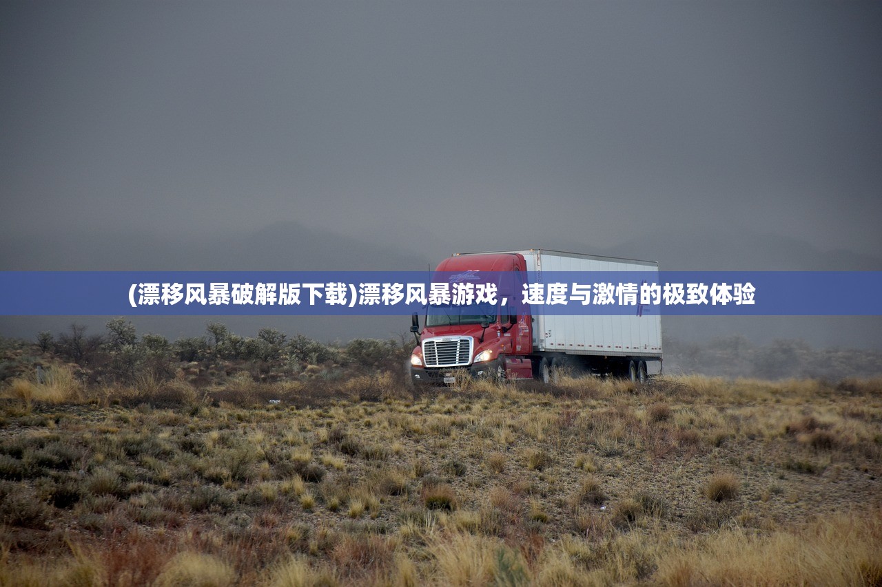 (漂移风暴破解版下载)漂移风暴游戏，速度与激情的极致体验