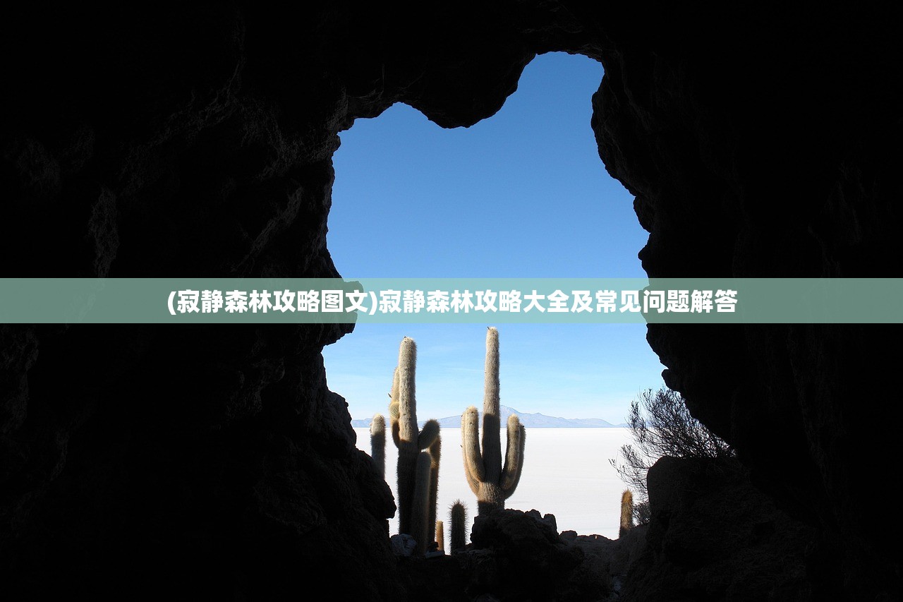 (寂静森林攻略图文)寂静森林攻略大全及常见问题解答