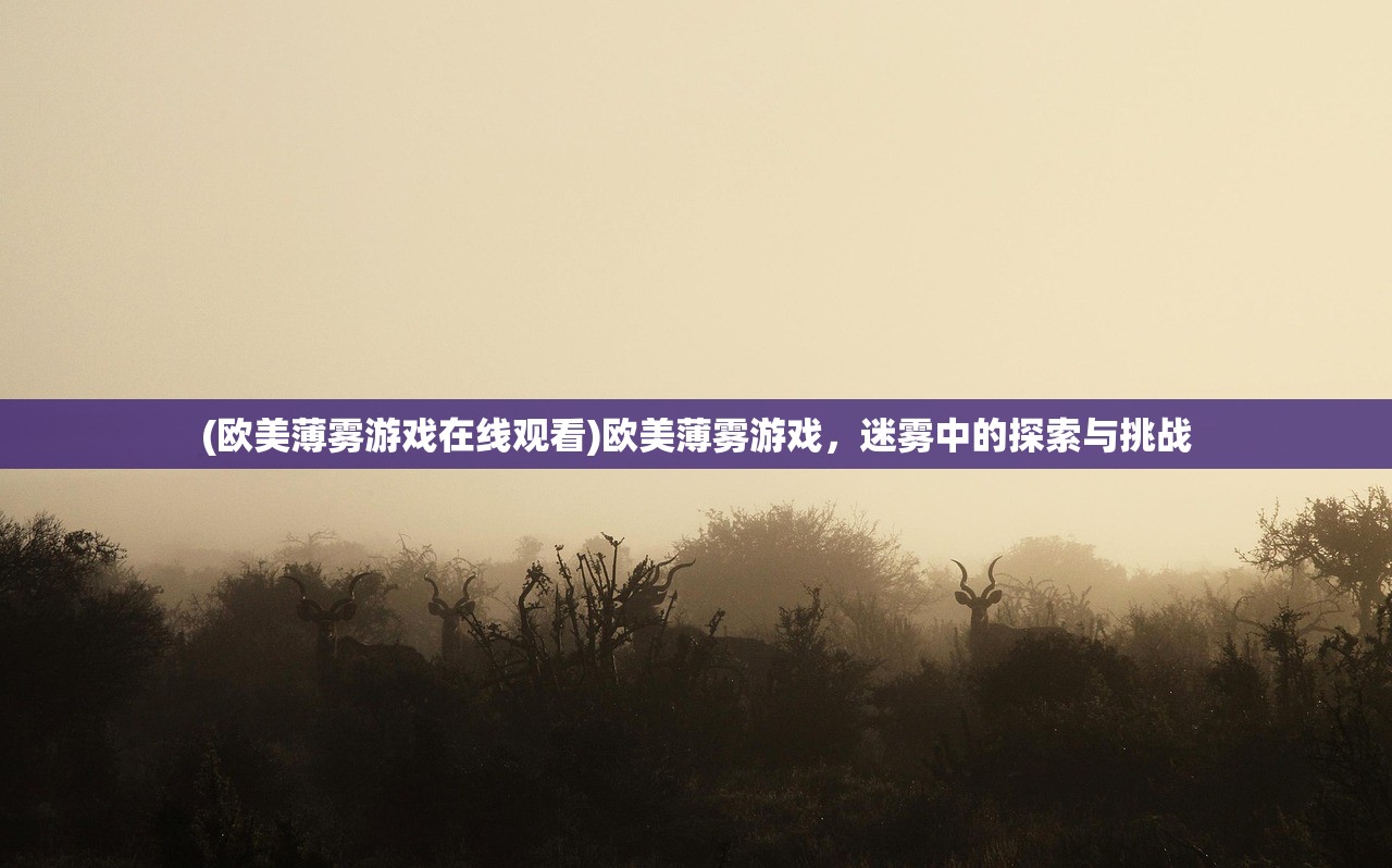 (欧美薄雾游戏在线观看)欧美薄雾游戏，迷雾中的探索与挑战