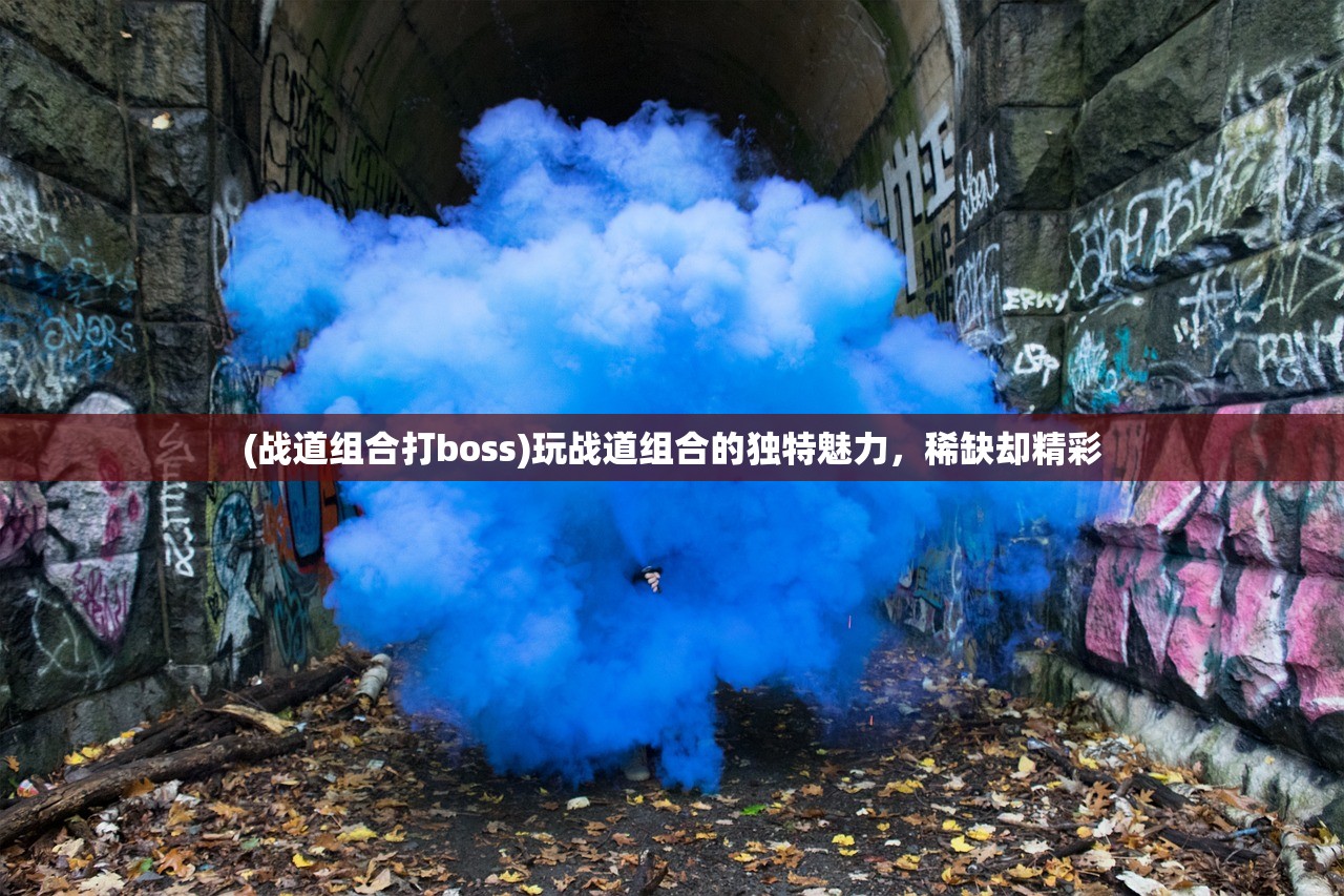 (战道组合打boss)玩战道组合的独特魅力，稀缺却精彩