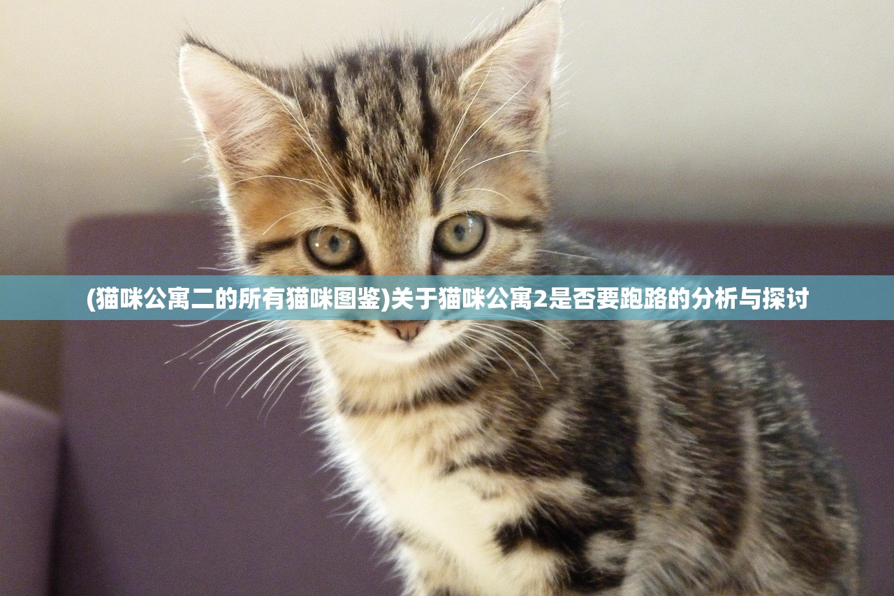 (猫咪公寓二的所有猫咪图鉴)关于猫咪公寓2是否要跑路的分析与探讨