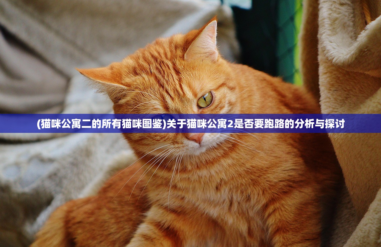 (猫咪公寓二的所有猫咪图鉴)关于猫咪公寓2是否要跑路的分析与探讨