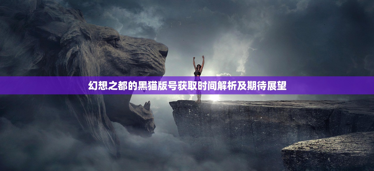 幻想之都的黑猫版号获取时间解析及期待展望