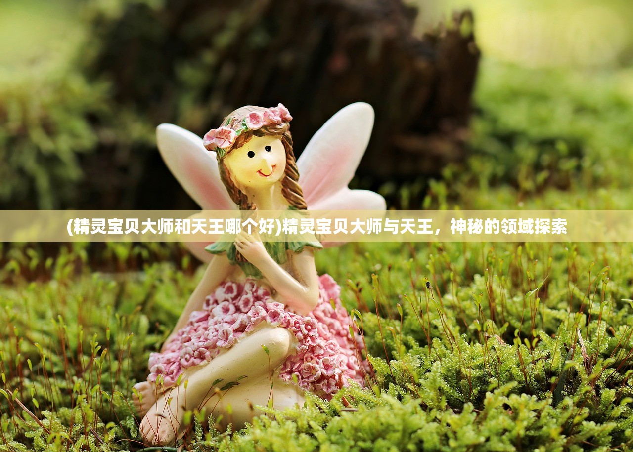 (精灵宝贝大师和天王哪个好)精灵宝贝大师与天王，神秘的领域探索