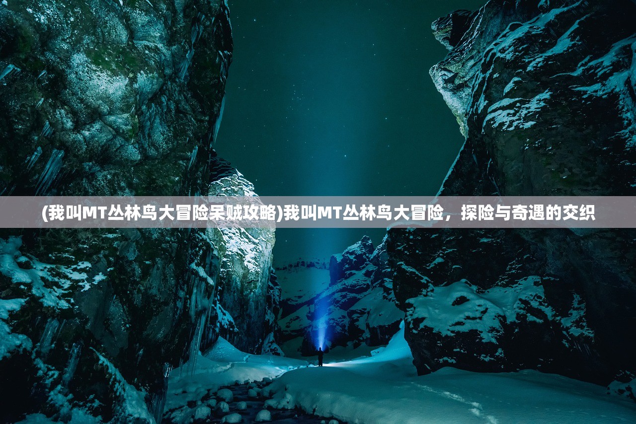 (我叫MT丛林鸟大冒险呆贼攻略)我叫MT丛林鸟大冒险，探险与奇遇的交织
