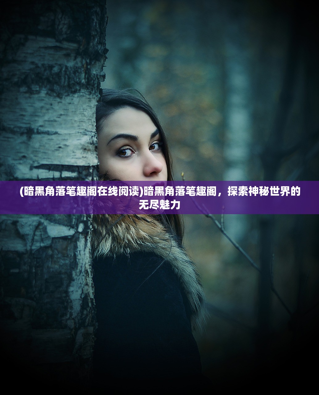 (暗黑角落笔趣阁在线阅读)暗黑角落笔趣阁，探索神秘世界的无尽魅力