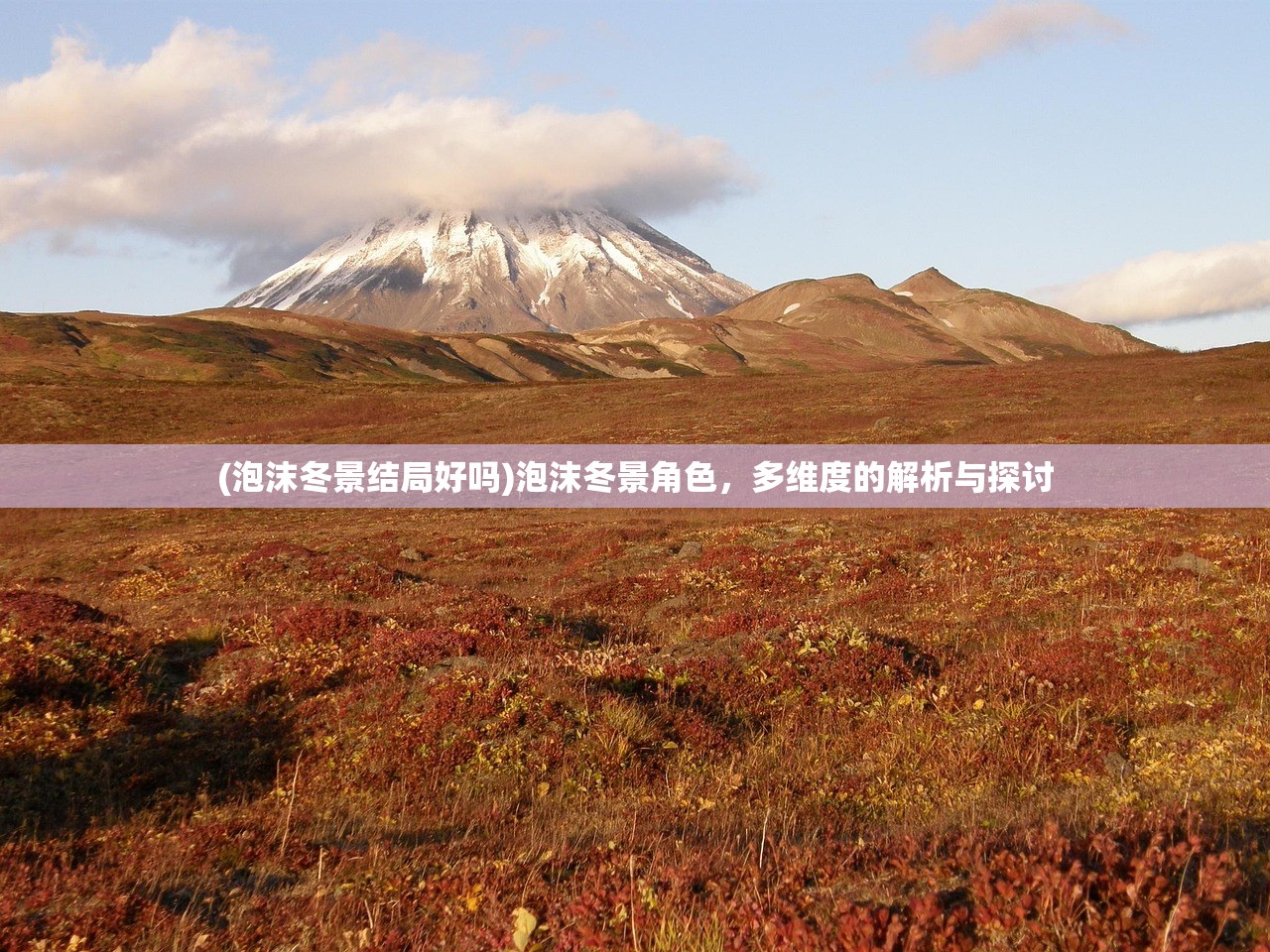 (泡沫冬景结局好吗)泡沫冬景角色，多维度的解析与探讨