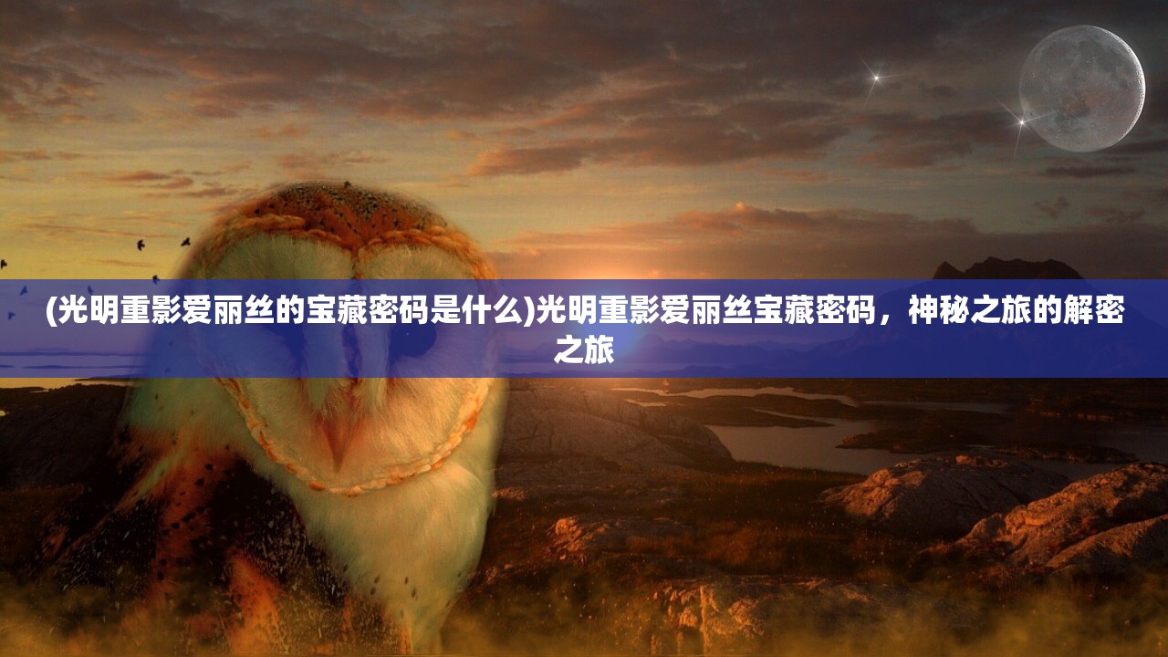 (光明重影爱丽丝的宝藏密码是什么)光明重影爱丽丝宝藏密码，神秘之旅的解密之旅