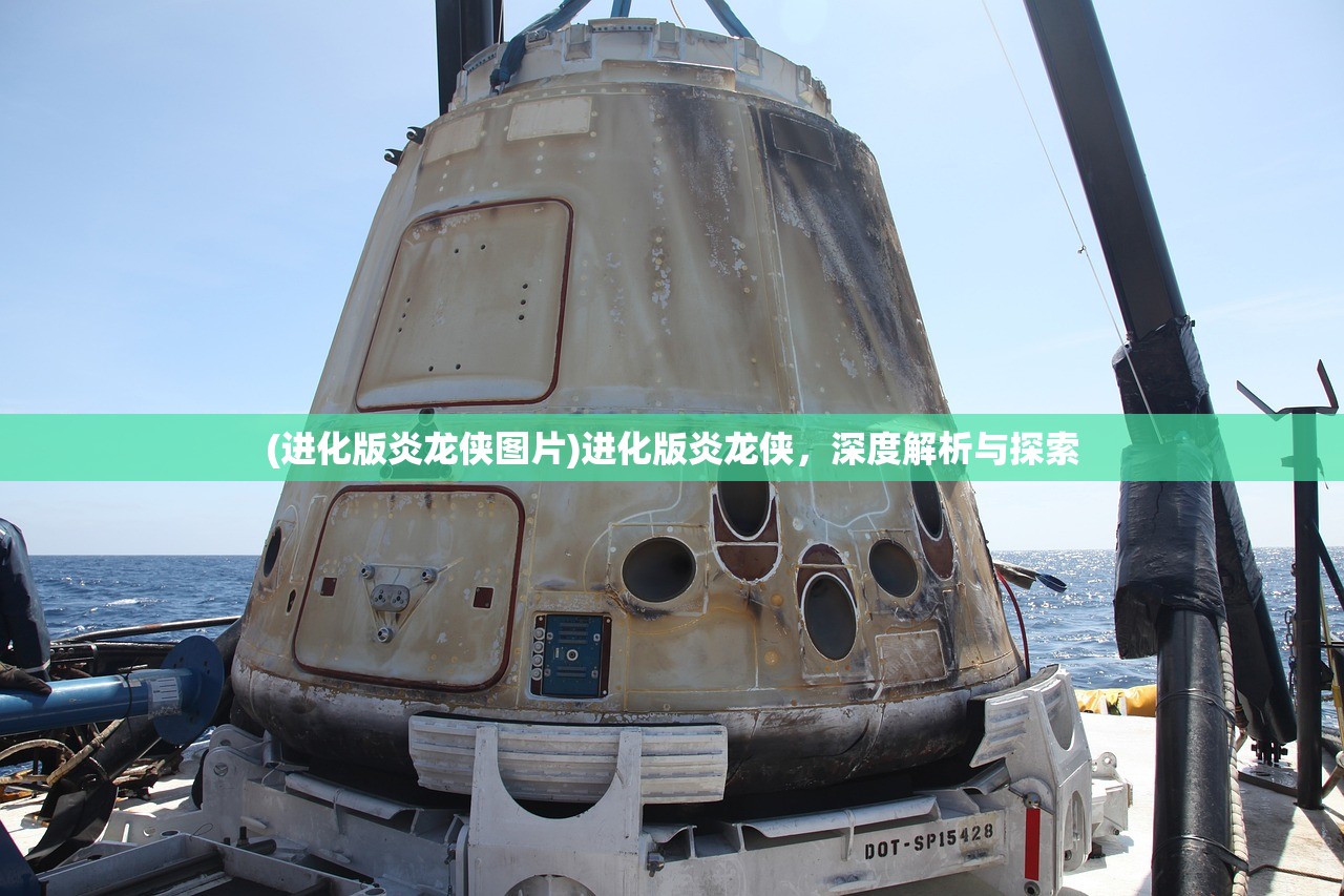 (进化版炎龙侠图片)进化版炎龙侠，深度解析与探索