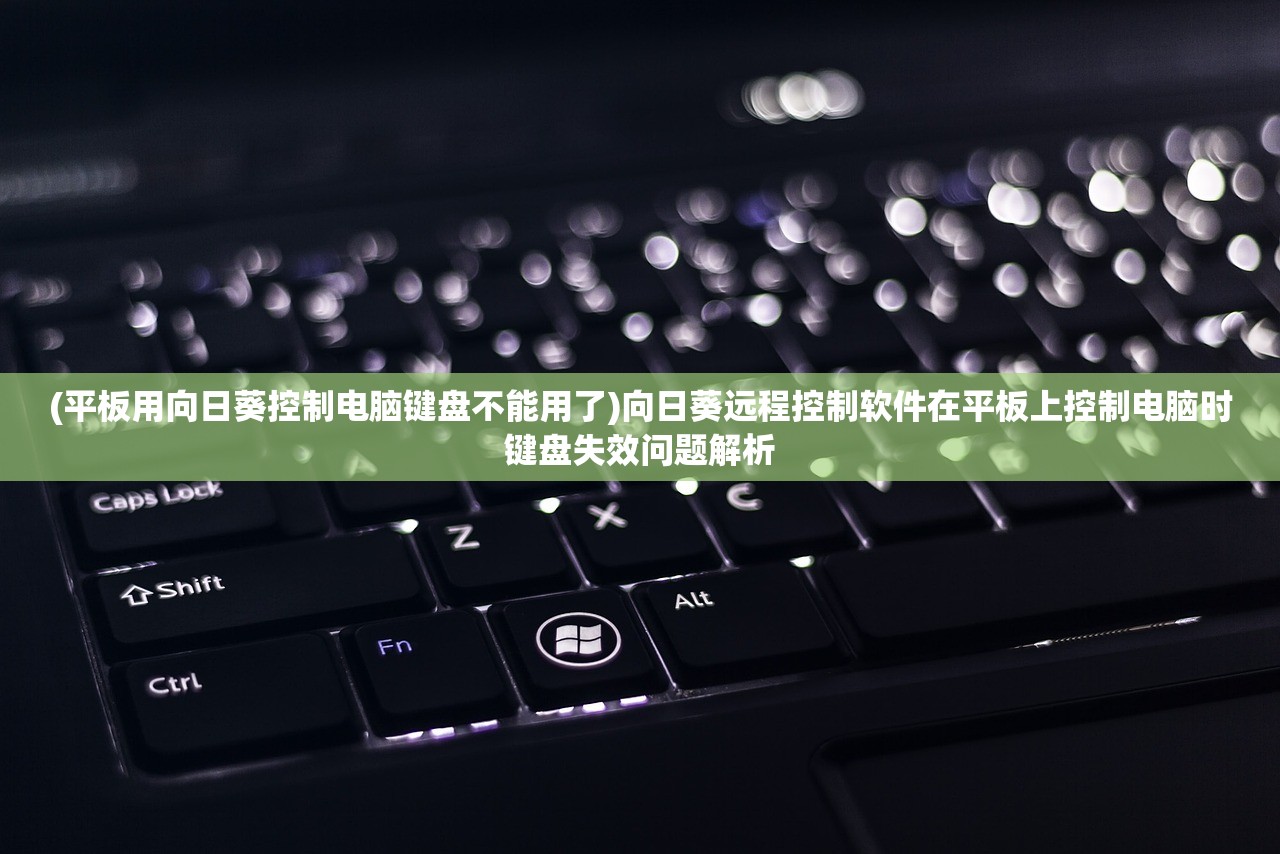 (平板用向日葵控制电脑键盘不能用了)向日葵远程控制软件在平板上控制电脑时键盘失效问题解析