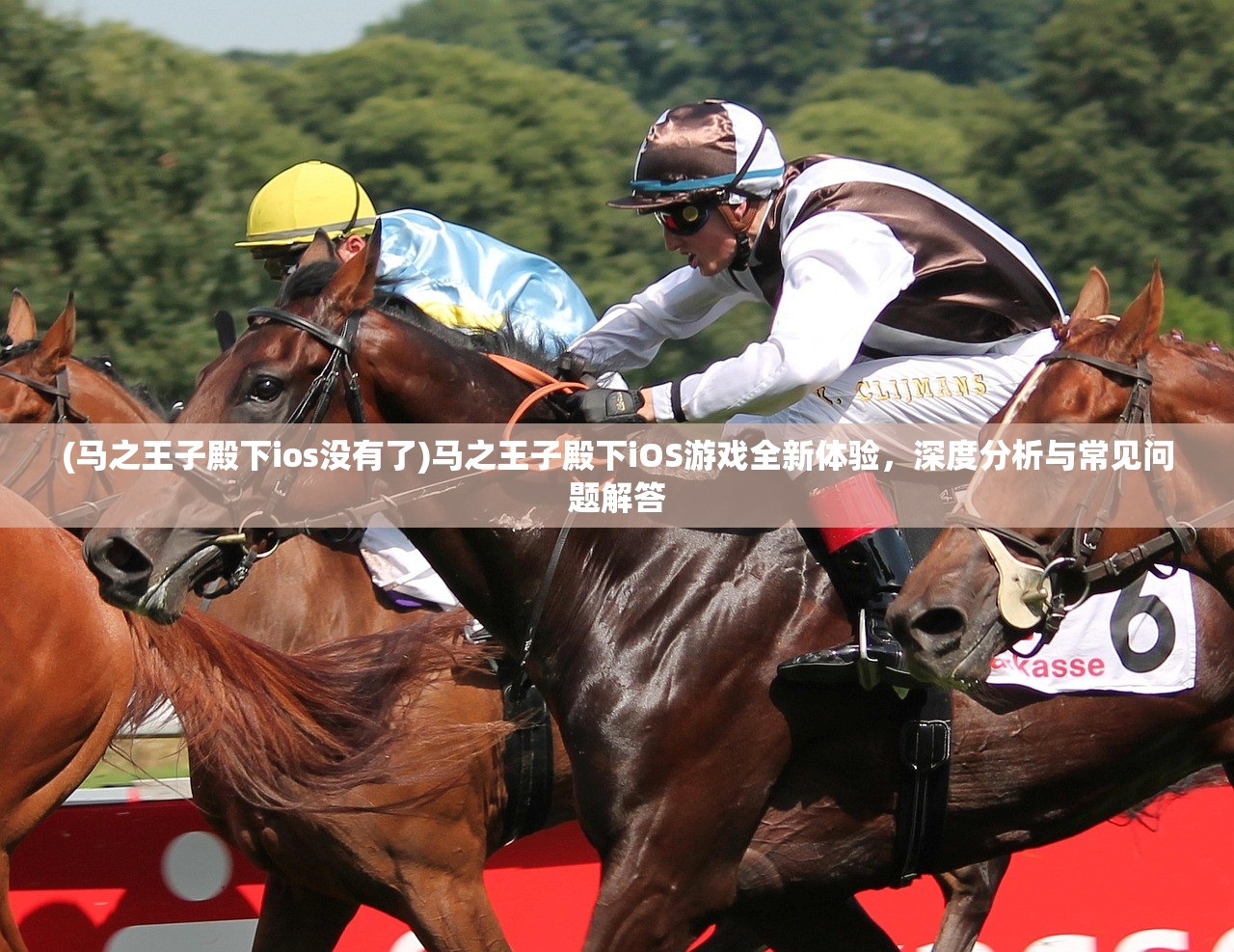 (马之王子殿下ios没有了)马之王子殿下iOS游戏全新体验，深度分析与常见问题解答