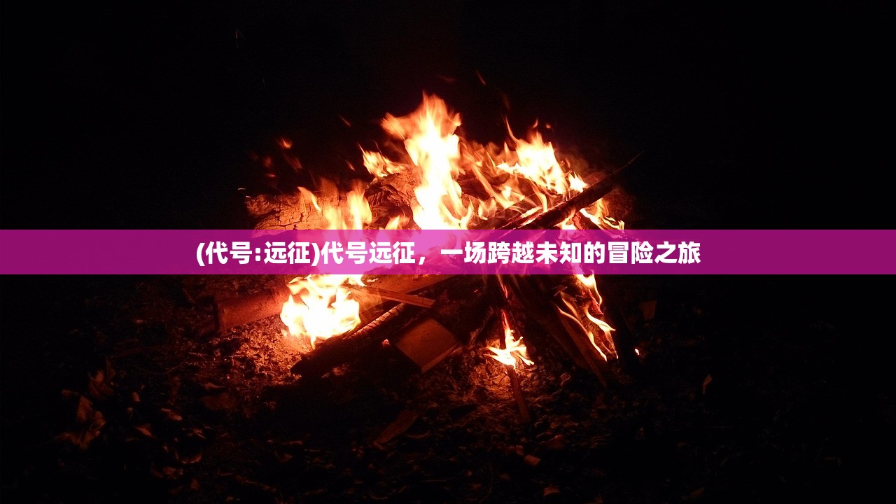 (代号:远征)代号远征，一场跨越未知的冒险之旅