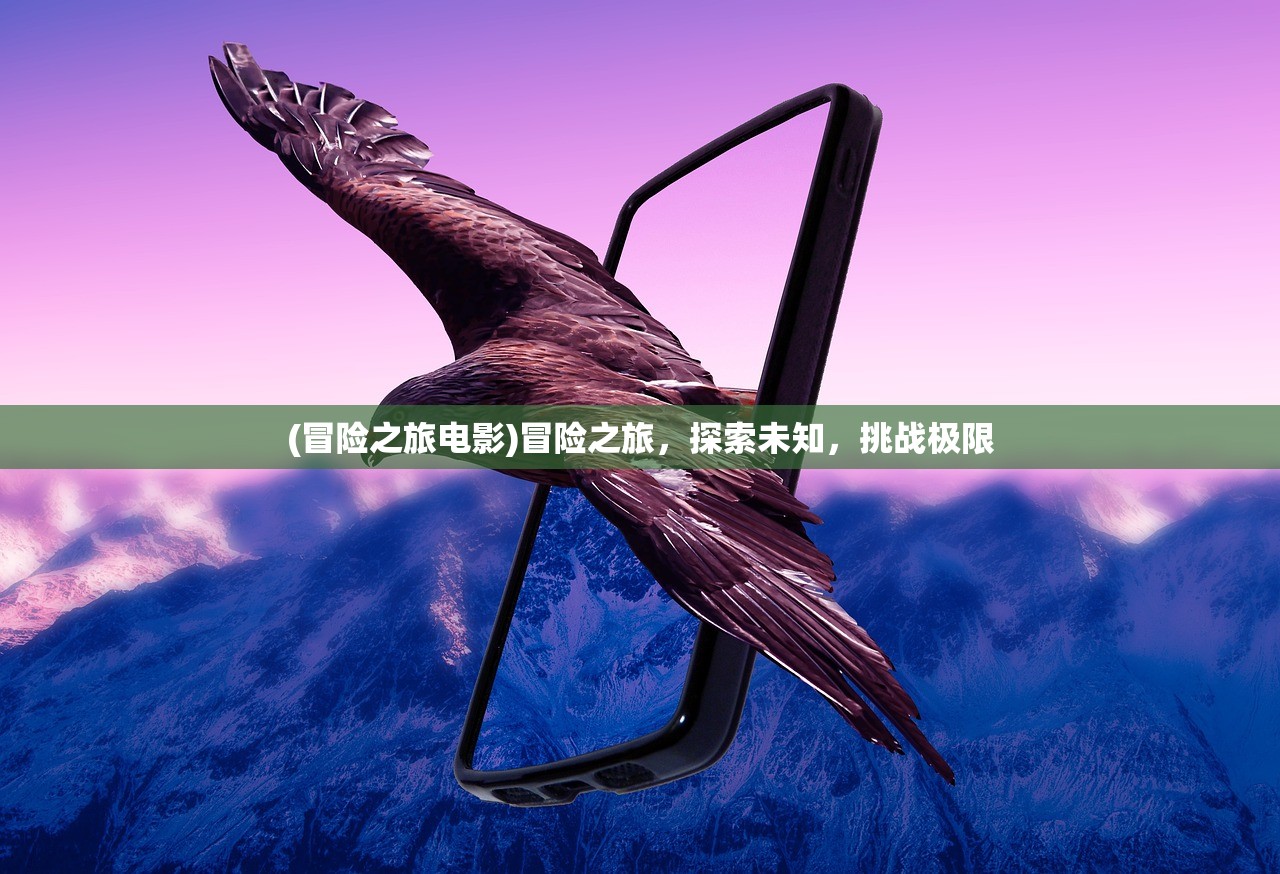 (冒险之旅电影)冒险之旅，探索未知，挑战极限