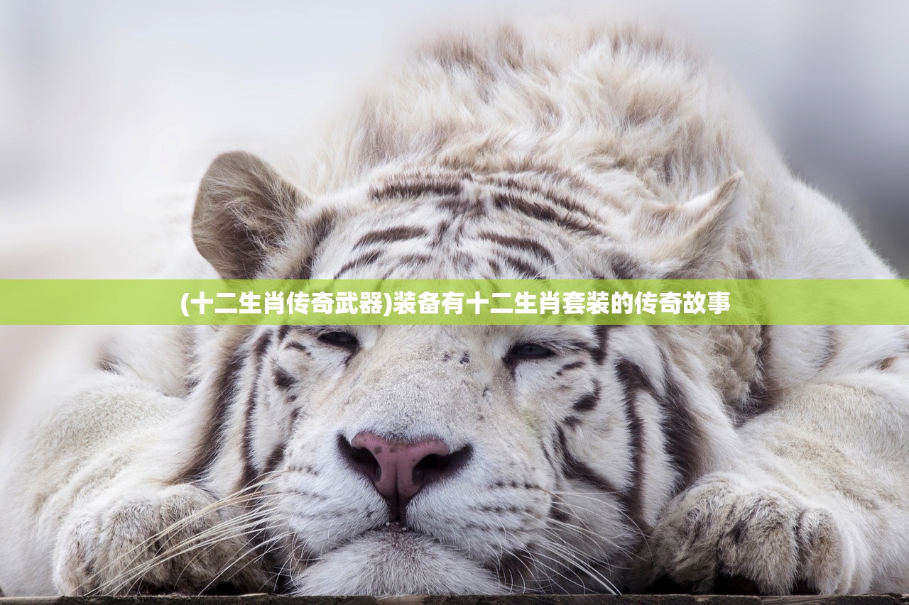 (十二生肖传奇武器)装备有十二生肖套装的传奇故事