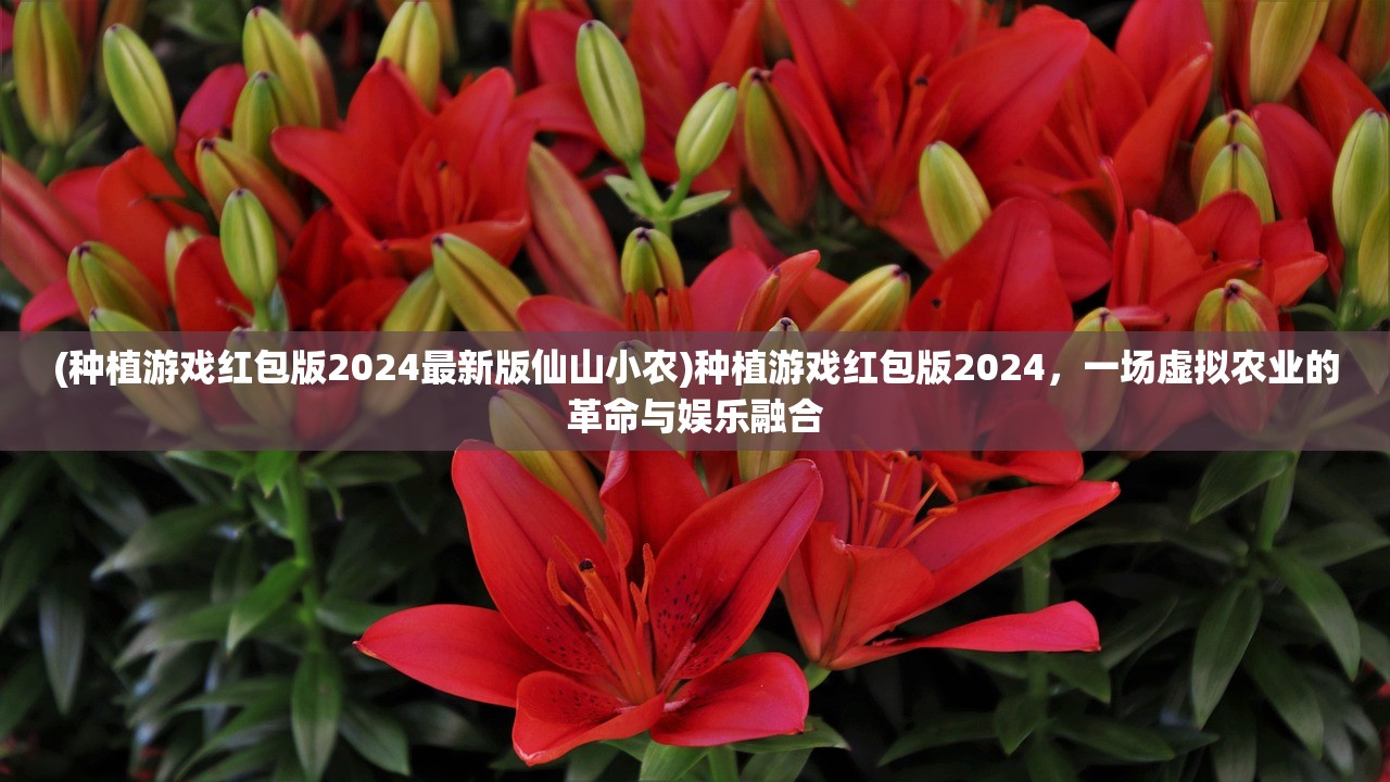 (种植游戏红包版2024最新版仙山小农)种植游戏红包版2024，一场虚拟农业的革命与娱乐融合