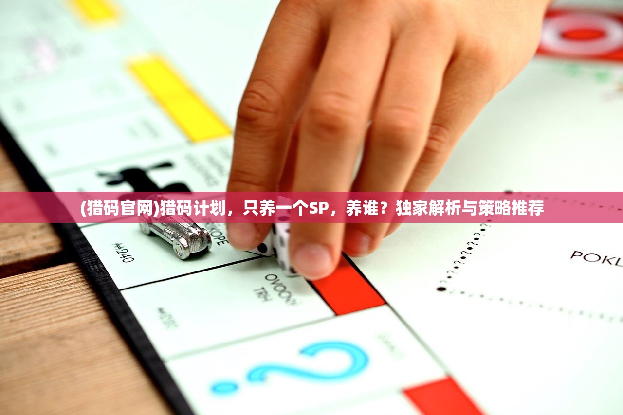 (猎码官网)猎码计划，只养一个SP，养谁？独家解析与策略推荐