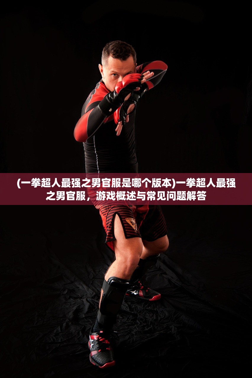 (一拳超人最强之男官服是哪个版本)一拳超人最强之男官服，游戏概述与常见问题解答
