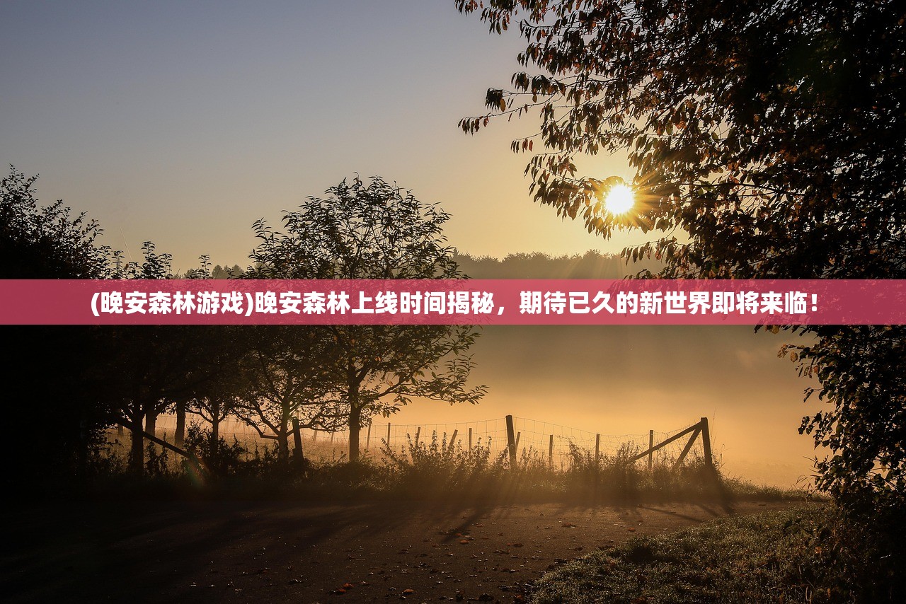 (晚安森林游戏)晚安森林上线时间揭秘，期待已久的新世界即将来临！