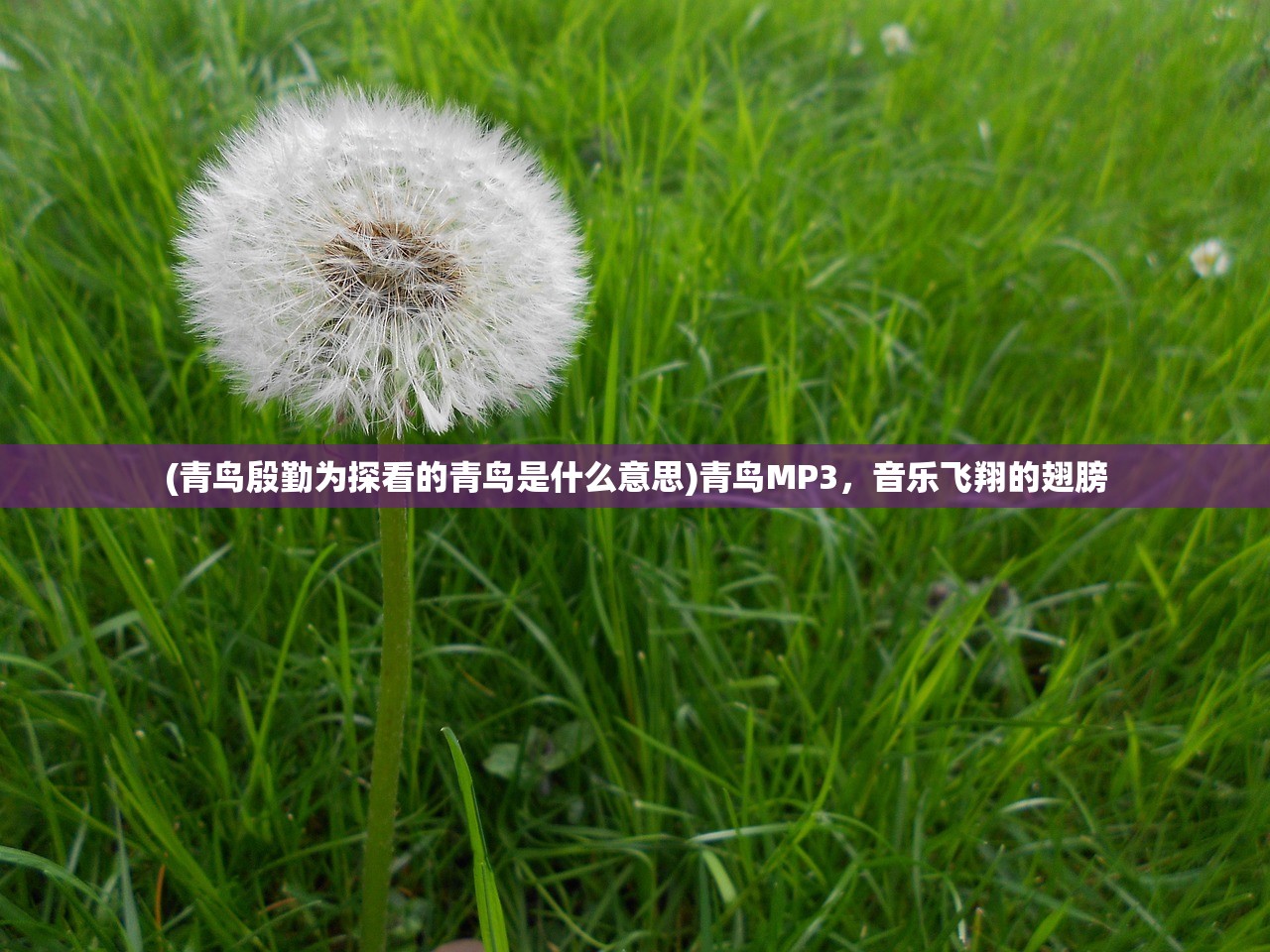 (仙灵幻想手游)仙灵幻想与长安幻想，哪款游戏更好玩？