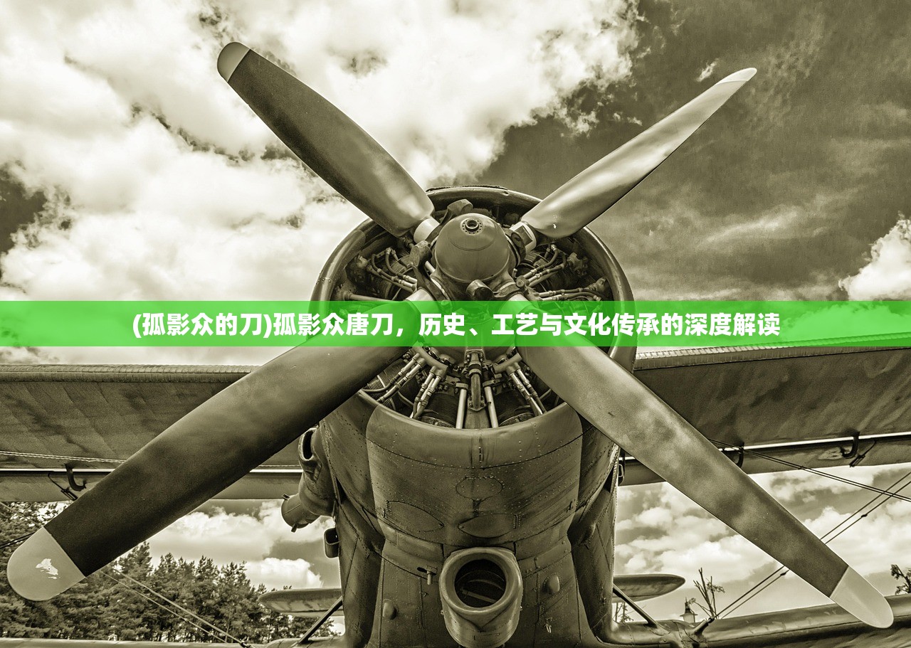 (孤影众的刀)孤影众唐刀，历史、工艺与文化传承的深度解读