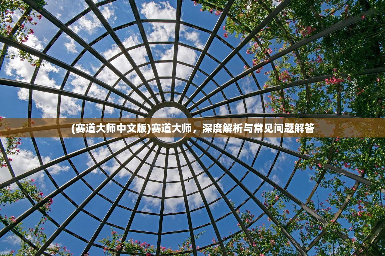 (赛道大师中文版)赛道大师，深度解析与常见问题解答