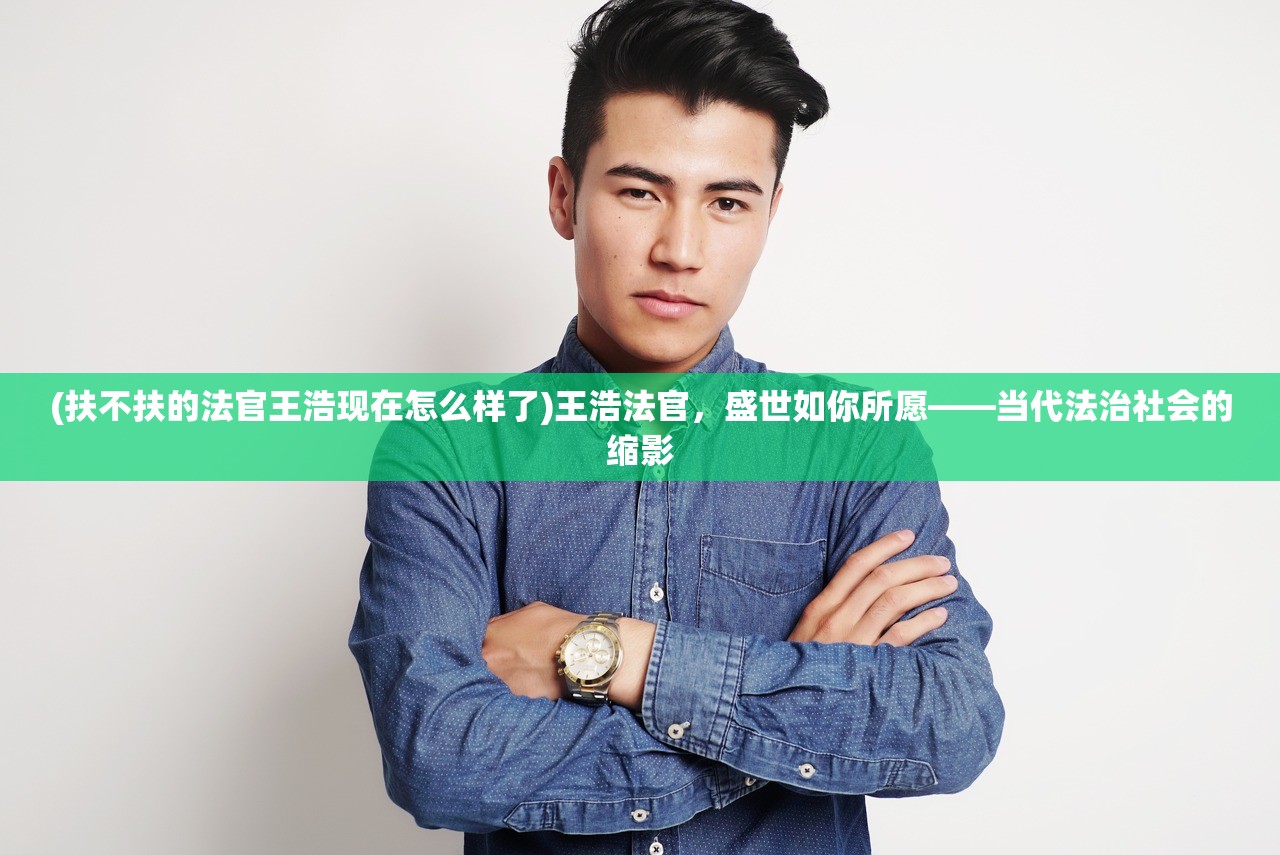 (扶不扶的法官王浩现在怎么样了)王浩法官，盛世如你所愿——当代法治社会的缩影