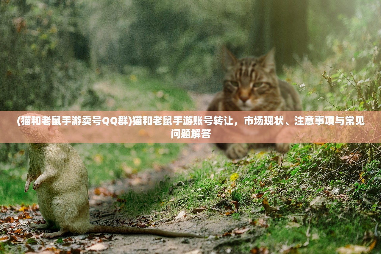 (猫和老鼠手游卖号QQ群)猫和老鼠手游账号转让，市场现状、注意事项与常见问题解答