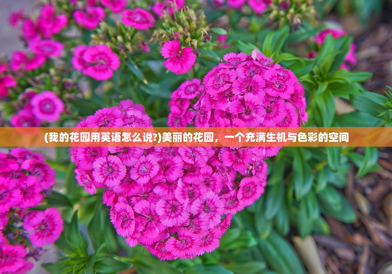 (星露谷武器锻造哪个好)星露谷锻造攻略大全，从入门到精通