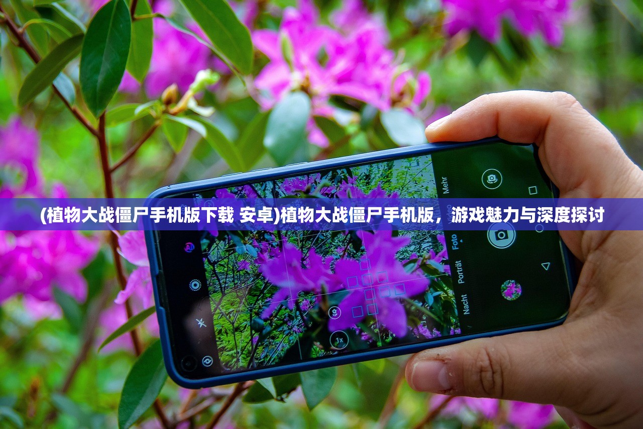 (植物大战僵尸手机版下载 安卓)植物大战僵尸手机版，游戏魅力与深度探讨