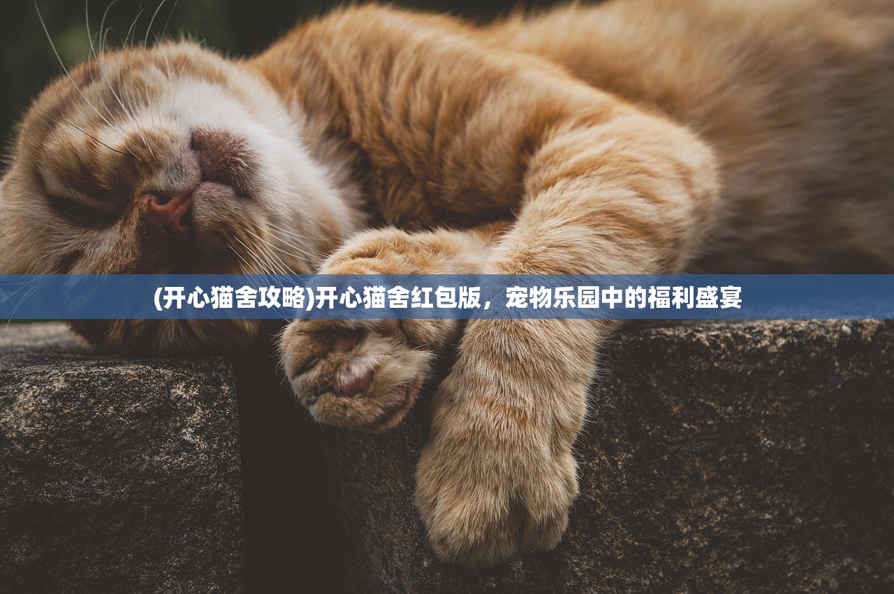 (开心猫舍攻略)开心猫舍红包版，宠物乐园中的福利盛宴