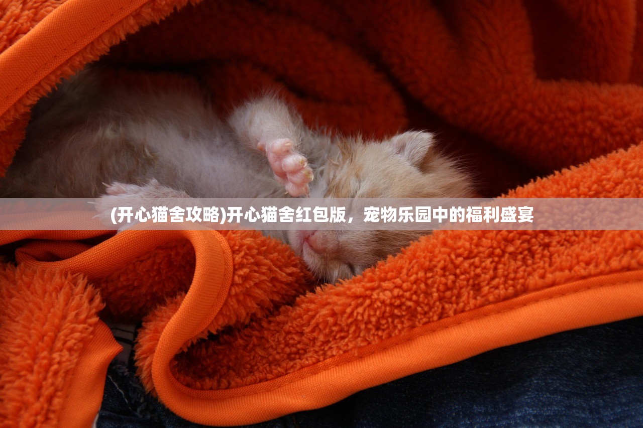(开心猫舍攻略)开心猫舍红包版，宠物乐园中的福利盛宴