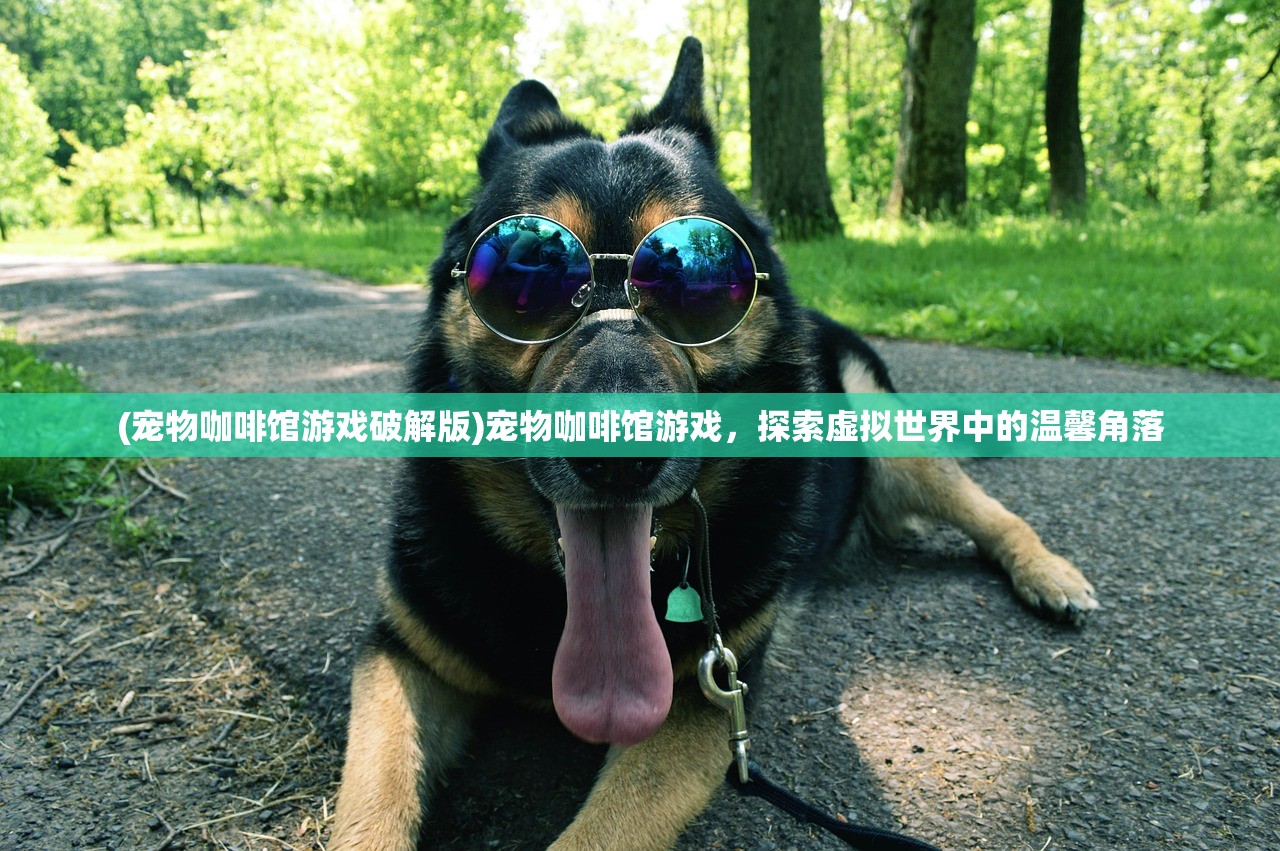 (宠物咖啡馆游戏破解版)宠物咖啡馆游戏，探索虚拟世界中的温馨角落