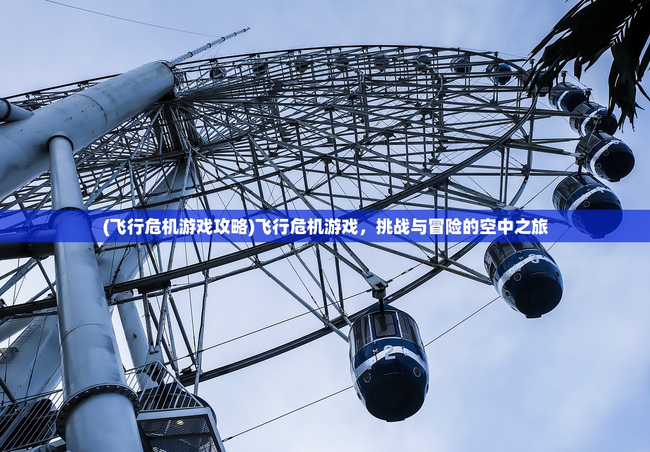 (飞行危机游戏攻略)飞行危机游戏，挑战与冒险的空中之旅